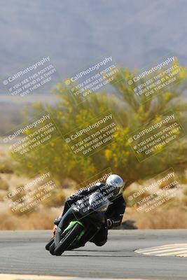 media/Apr-10-2022-SoCal Trackdays (Sun) [[f104b12566]]/Turn 5 Tree of Life (1040am)/